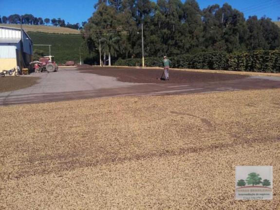 Imagem Fazenda à Venda, 2.000 m² em Centro - Campanha Imagem Fazenda à Venda, 2.000 m² em Centro - Campanha