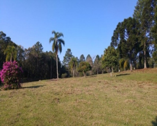 Imagem Imóvel com 2 Quartos à Venda, 110 m² em Fazenda Pirajá - Nova Petrópolis