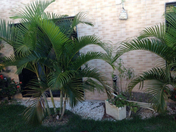 Imagem Casa com 3 Quartos à Venda, 250 m² em Parque Jóquei Club - Campos Dos Goytacazes