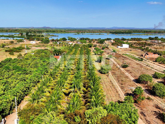 Fazenda à Venda,  em Estrada Das Pedrinhas - Petrolina