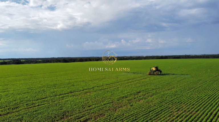 Imagem Imóvel com 3 Quartos à Venda, 135.000 m² em Zona Rural - São Miguel Do Araguaia Imagem Imóvel com 3 Quartos à Venda, 135.000 m² em Zona Rural - São Miguel Do Araguaia
