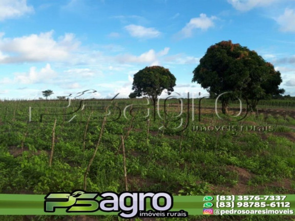 Terreno à Venda, 80.000 m² em Cidade Balneária Novo Mundo I - Conde