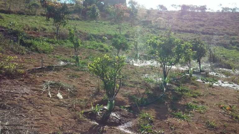 Imagem Imóvel com 2 Quartos à Venda, 90 m² em Zona Rural - Caldas