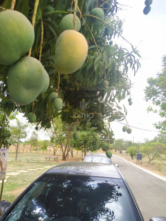 Imagem Terreno à Venda, 1.114 m² em Centro - Jequitibá Imagem Terreno à Venda, 1.114 m² em Centro - Jequitibá