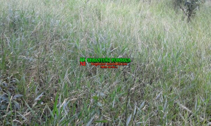 Imagem Terreno à Venda, 15.825 m² em Jardim Santa Júlia - São José Dos Campos Imagem Terreno à Venda, 15.825 m² em Jardim Santa Júlia - São José Dos Campos