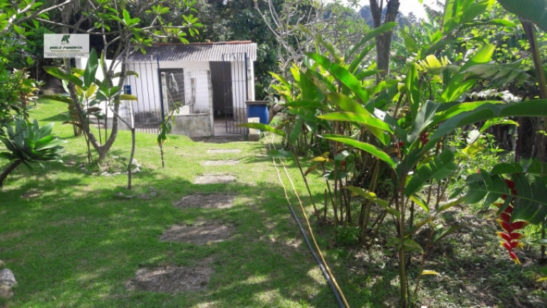 Imagem Chácara com 3 Quartos à Venda, 18.000 m² em Mailasqui - São Roque Imagem Chácara com 3 Quartos à Venda, 18.000 m² em Mailasqui - São Roque