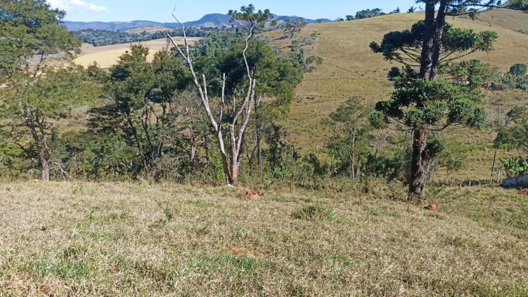 Imagem Chácara com 2 Quartos à Venda, 100 m² em Centro - Paraibuna Imagem Chácara com 2 Quartos à Venda, 100 m² em Centro - Paraibuna