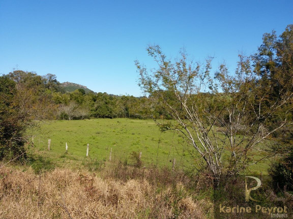 Imagem Terreno à Venda, 3.000 m² em Fazenda São Borja - São Leopoldo Imagem Terreno à Venda, 3.000 m² em Fazenda São Borja - São Leopoldo