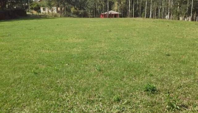 Imagem Imóvel à Venda, 8.291 m² em Rio Da Várzea - Quitandinha Imagem Imóvel à Venda, 8.291 m² em Rio Da Várzea - Quitandinha