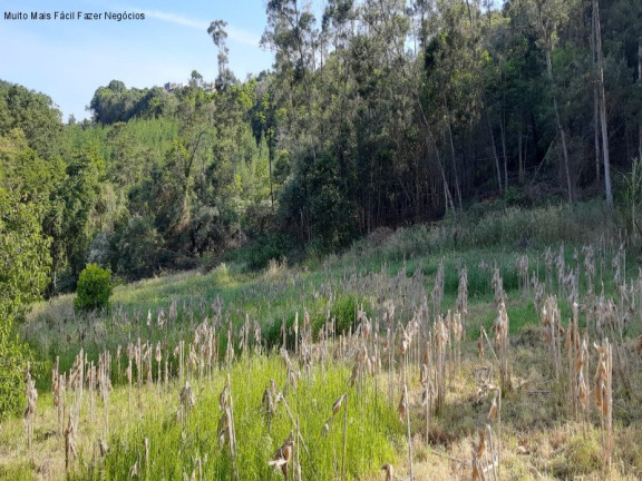 Imagem Terreno à Venda, em Bavaria - Nova Petrópolis Imagem Terreno à Venda, em Bavaria - Nova Petrópolis