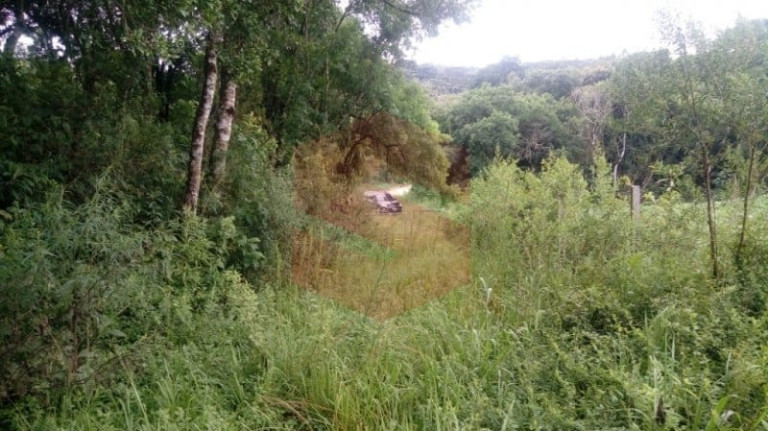 Imagem Chácara com 1 Quarto à Venda, 1 m² em Morro Do Cal - Campo Largo