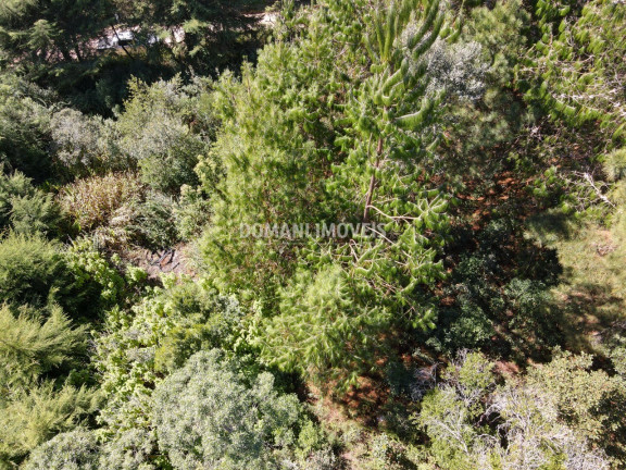 Imagem Terreno à Venda, 1.090 m² em Região Do Alto Do Capivari - Campos Do Jordão Imagem Terreno à Venda, 1.090 m² em Região Do Alto Do Capivari - Campos Do Jordão