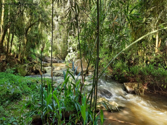 Terreno à Venda, 3 m² em São Jacó - Nova Petrópolis