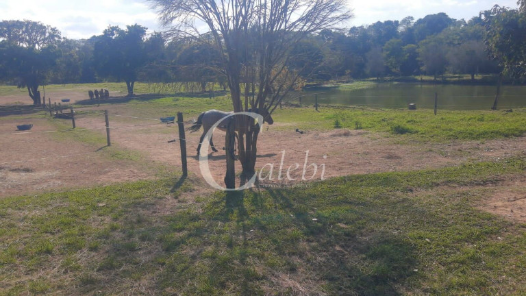 Imagem Chácara com 5 Quartos à Venda, 3 m² em Varginha - Santo Antônio De Posse