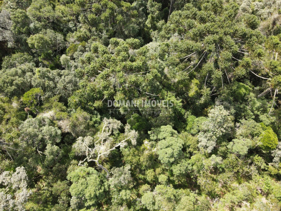 Imagem Terreno à Venda, 5.100 m² em Região Do Atalaia - Campos Do Jordão Imagem Terreno à Venda, 5.100 m² em Região Do Atalaia - Campos Do Jordão