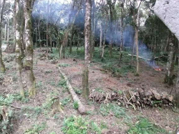 Imagem Terreno à Venda, 9.100 m² em Campestre Da Faxina - São José Dos Pinhais