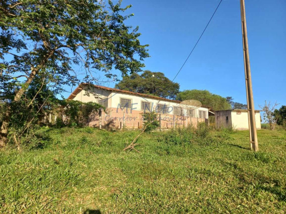 Imagem Fazenda à Venda, 65.340 m² em Bonfim - Pirassununga