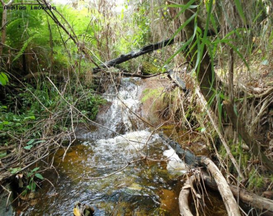 Imagem Fazenda à Venda, 164 m² em Monjolos área Rural - Monjolos Imagem Fazenda à Venda, 164 m² em Monjolos área Rural - Monjolos