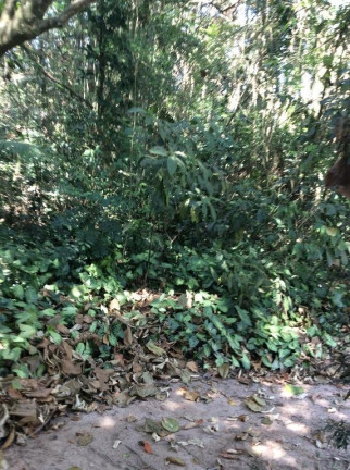 Imagem Terreno à Venda, 1.300 m² em Altos De São Fernando - Jandira Imagem Terreno à Venda, 1.300 m² em Altos De São Fernando - Jandira