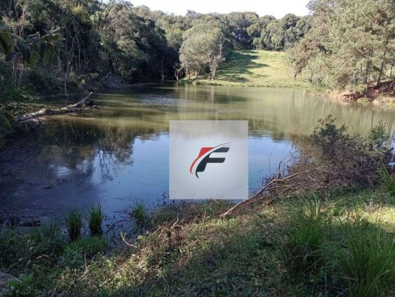 Imagem Chácara com 3 Quartos à Venda, 242.000 m² em Centro - Lapa