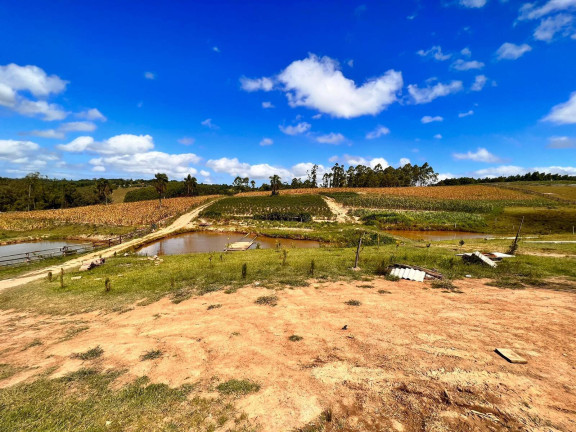 Imagem Chácara com 2 Quartos à Venda, 6 m² em Morungava - Gravataí