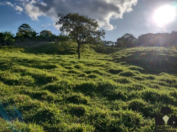 Imagem Imóvel à Venda, 21.900 m² em Fazendinhas Pedro Leopoldo Mg - Pedro Leopoldo Imagem Imóvel à Venda, 21.900 m² em Fazendinhas Pedro Leopoldo Mg - Pedro Leopoldo