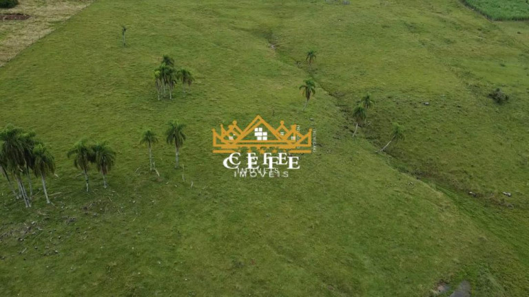 Imagem Imóvel à Venda, 20 m² em Zona Rural - Igrejinha Imagem Imóvel à Venda, 20 m² em Zona Rural - Igrejinha