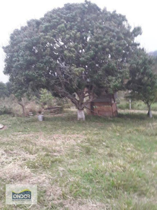 Imagem Terreno à Venda, 1.600 m² em Chácara Santa Mônica - Vargem Grande Paulista