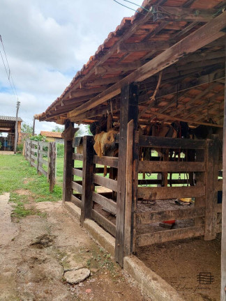 Imagem Chácara com 4 Quartos à Venda, 563 m² em Felixlândia Imagem Chácara com 4 Quartos à Venda, 563 m² em Felixlândia