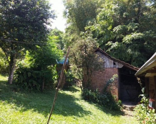 Imagem Imóvel com 4 Quartos à Venda, 88 m² em Vila Olinda - Nova Petrópolis Imagem Imóvel com 4 Quartos à Venda, 88 m² em Vila Olinda - Nova Petrópolis