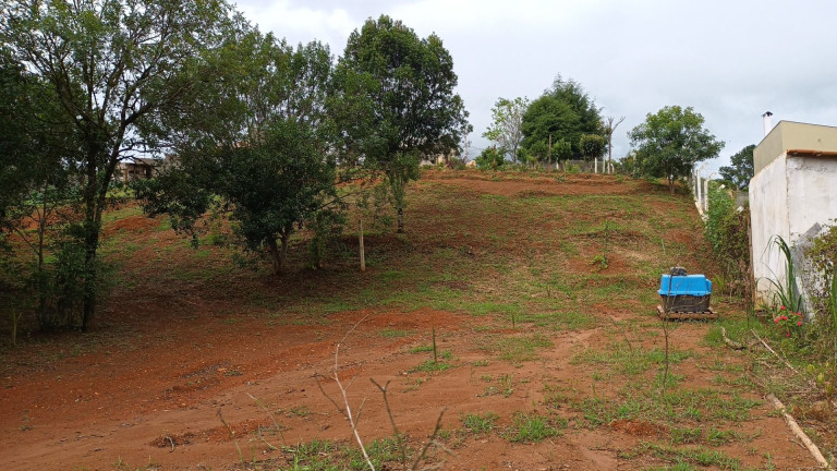 Imagem Fazenda à Venda, em Centro - Contenda Imagem Fazenda à Venda, em Centro - Contenda