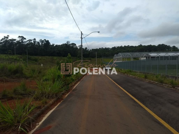 Terreno à Venda, 375 m² em Mina Do Mato - Criciúma