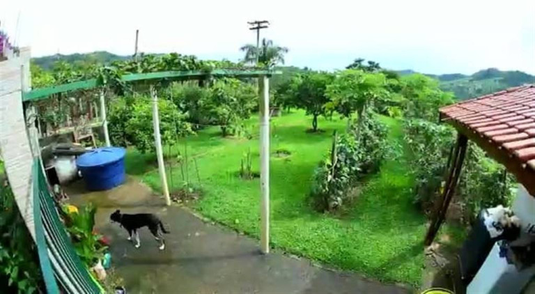 Imagem Imóvel com 3 Quartos à Venda,  em Tres Barras - Serra Negra