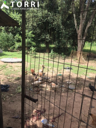 Imagem Imóvel com 4 Quartos à Venda, 250 m² em Monte Libano - Araçoiaba Da Serra Imagem Imóvel com 4 Quartos à Venda, 250 m² em Monte Libano - Araçoiaba Da Serra