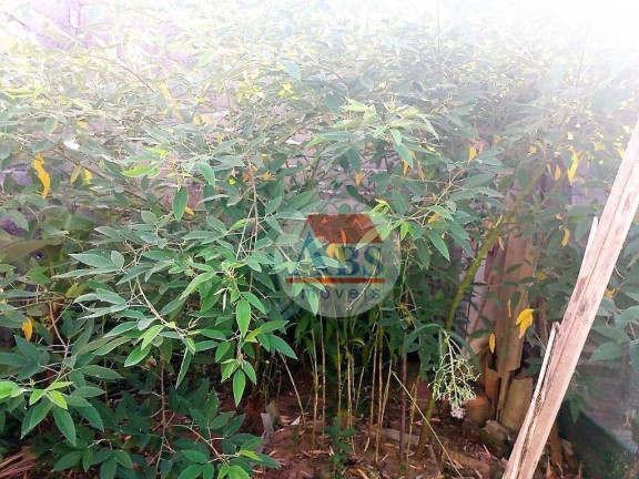 Imagem Sobrado com 1 Quarto à Venda, 80 m² em Jardim Somar - Peruíbe Imagem Sobrado com 1 Quarto à Venda, 80 m² em Jardim Somar - Peruíbe