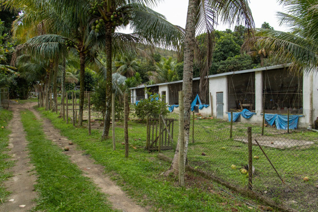Imagem Imóvel com 7 Quartos à Venda,  em Guaratiba - Rio De Janeiro
