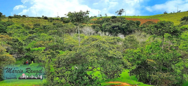 Imagem Imóvel à Venda, 31.000 m² em Caxeta - Campos Dos Goytacazes Imagem Imóvel à Venda, 31.000 m² em Caxeta - Campos Dos Goytacazes