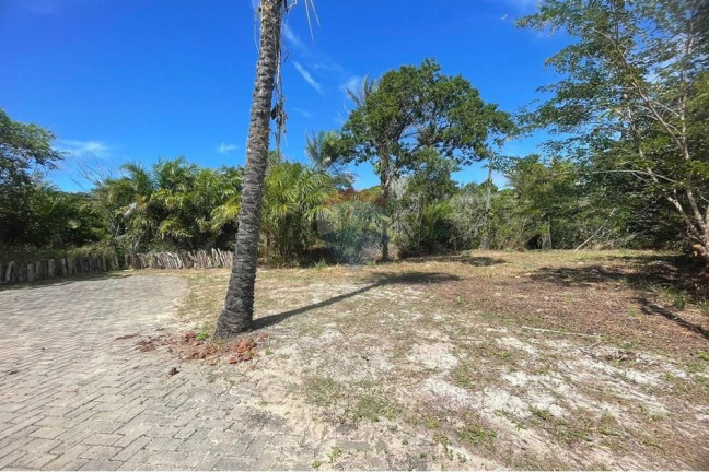Imagem Terreno à Venda, 450 m² em Mata De São João - Mata De São João Imagem Terreno à Venda, 450 m² em Mata De São João - Mata De São João