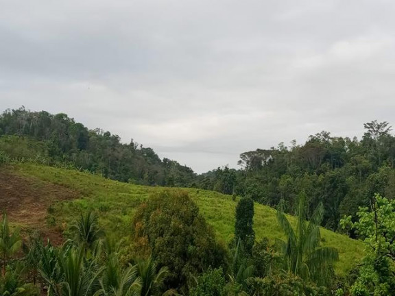 Imagem Fazenda à Venda, 10.000 m² em Taboquinhas - Itacaré Imagem Fazenda à Venda, 10.000 m² em Taboquinhas - Itacaré