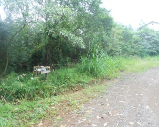 Imagem Terreno à Venda, 900 m² em Germânia - Nova Petrópolis Imagem Terreno à Venda, 900 m² em Germânia - Nova Petrópolis