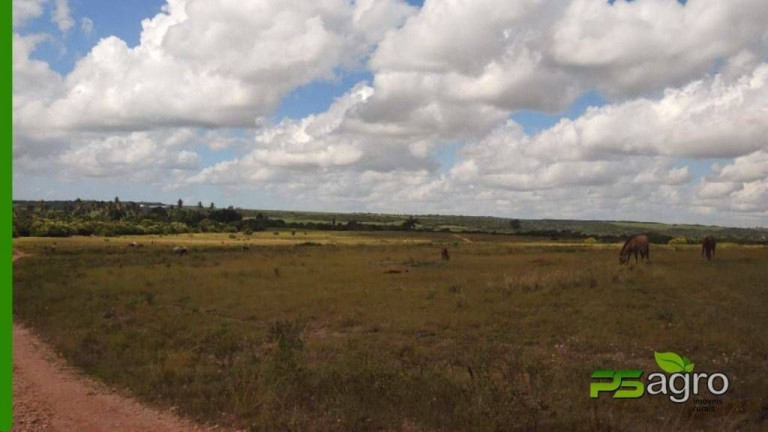 Imagem Sala Comercial à Venda, 2.500.000 m² em Barra De Cunhaú - Canguaretama Imagem Sala Comercial à Venda, 2.500.000 m² em Barra De Cunhaú - Canguaretama