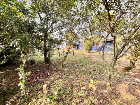 Terreno à Venda, 329 m² em Campeche - Florianópolis