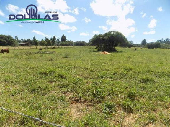 Imagem Terreno à Venda, 1.100 m² em águas Claras - Viamão Imagem Terreno à Venda, 1.100 m² em águas Claras - Viamão