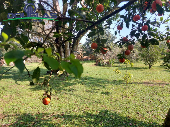 Imagem Terreno à Venda, 595 m² em águas Claras - Viamão