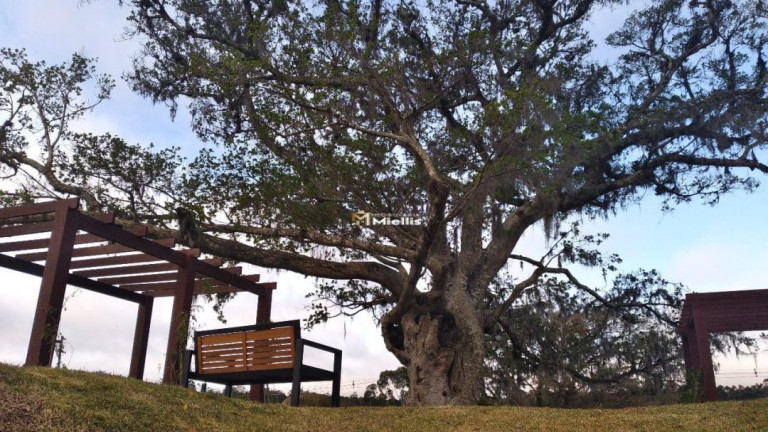 Imagem Imóvel à Venda, 150 m² em Cocão - Viamão Imagem Imóvel à Venda, 150 m² em Cocão - Viamão