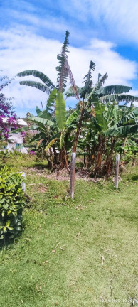 Imagem Terreno à Venda, 504 m² em Zimbros - Bombinhas Imagem Terreno à Venda, 504 m² em Zimbros - Bombinhas