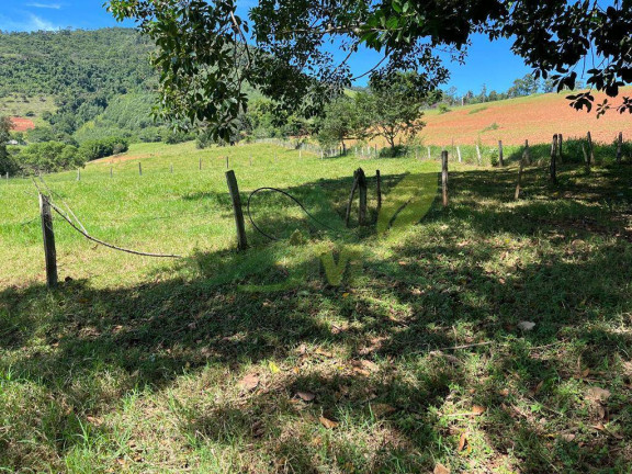 Imagem Chácara com 3 Quartos à Venda, 62.000 m² em Piracaia - Piracaia Imagem Chácara com 3 Quartos à Venda, 62.000 m² em Piracaia - Piracaia