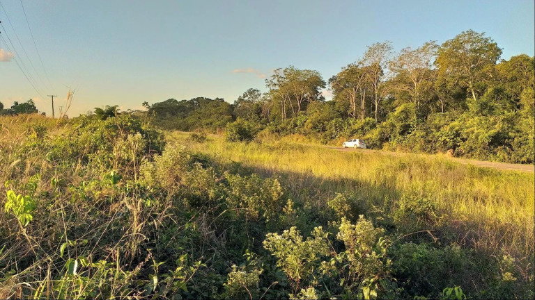 Imagem Fazenda à Venda, 72.600 m² em Zona Rural - Sinop Imagem Fazenda à Venda, 72.600 m² em Zona Rural - Sinop
