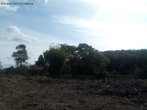 Imagem Terreno à Venda, 4 m² em Pinhal Alto - Nova Petrópolis Imagem Terreno à Venda, 4 m² em Pinhal Alto - Nova Petrópolis