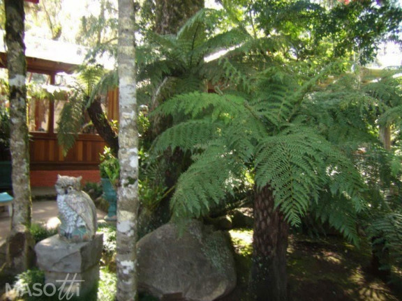 Imagem Casa com 3 Quartos à Venda, 245 m² em Mato Queimado - Gramado